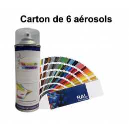 6 aérosols 400ml peinture RAL