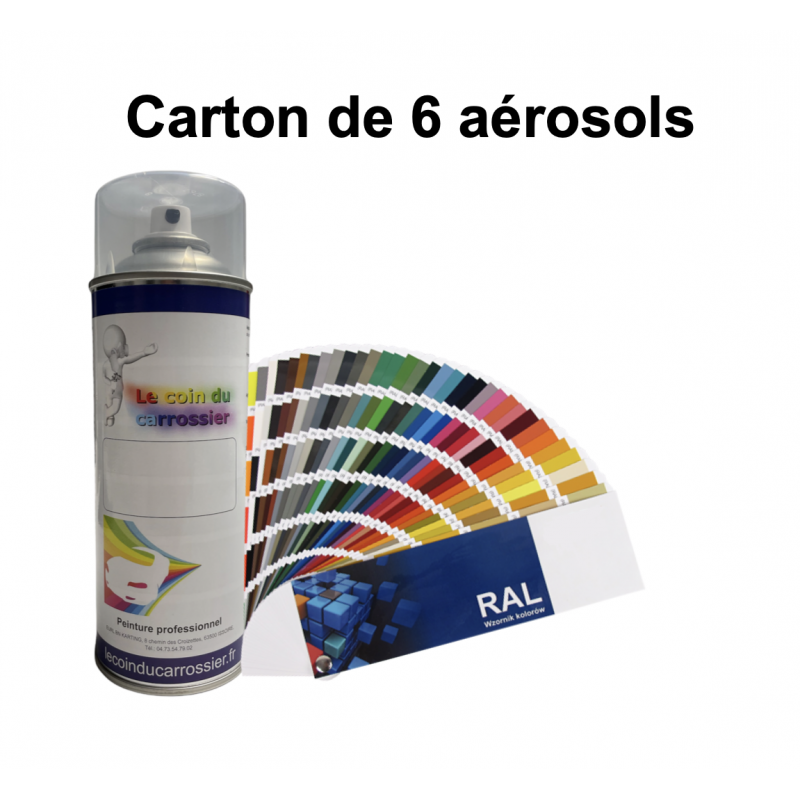 Bombe de peinture pour plastique 2K RAL blanc brillant 