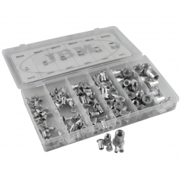 Boite de 150 rivets inserts...