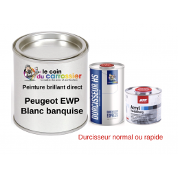 Kit peinture 3 kg Peugeot EWP  blanc banquise