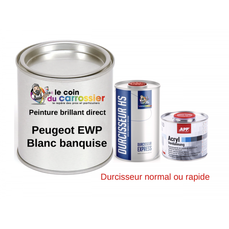 Kit peinture 3 kg Peugeot EWP  blanc banquise