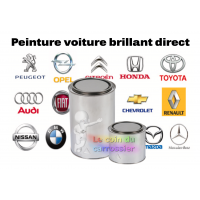 Peinture voiture sur mesure